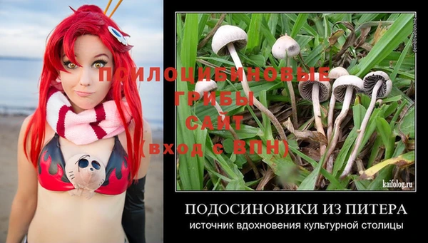 не бодяженный Богородицк