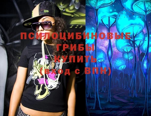 стафф Богородск