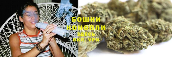 стафф Богородск