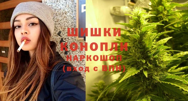 крисы Бородино
